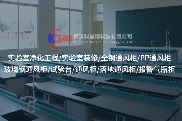 襄陽落地通風柜的設計特點及在實驗室中的應用